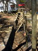 DSCN4180.JPG
