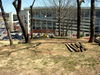 DSCN4184.JPG