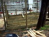 DSCN4195.JPG