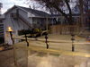 DSCN4260.JPG