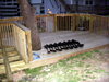 DSCN4263.JPG