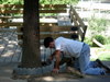 DSCN4774.JPG