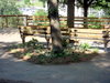 DSCN4775.JPG