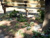 DSCN4776.JPG