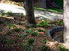 DSCN4777.JPG