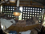 dscn0979.jpg
