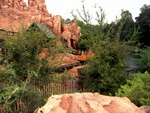 dscn0981.jpg