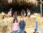 dscn0990.jpg