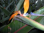 dscn1004.jpg