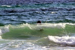 img_5515.jpg