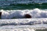 img_5519.jpg