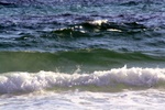 img_5520.jpg