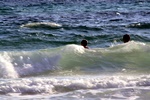 img_5521.jpg