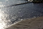 img_5535.jpg