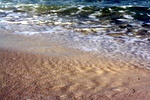 img_5538.jpg