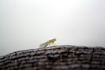 img_5715.jpg
