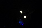 img_5766.jpg