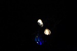 img_5767.jpg