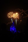 img_5782.jpg