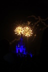 img_5783.jpg