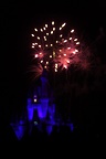 img_5784.jpg