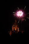 img_5787.jpg