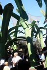 img_5818.jpg