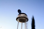 img_5826.jpg