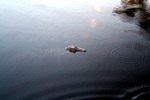 img_5832.jpg