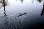 img_5833.jpg