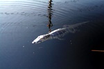 img_5834.jpg