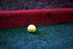 img_5865.jpg