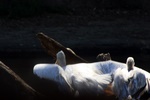 img_5875.jpg