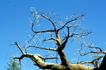 img_5877.jpg
