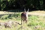 img_5879.jpg