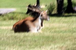 img_5882.jpg