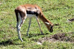 img_5884.jpg
