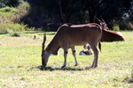 img_5887.jpg