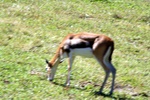 img_5890.jpg