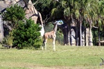 img_5896.jpg