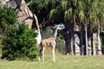img_5897.jpg