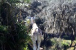 img_5912.jpg