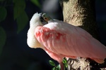 img_5926.jpg