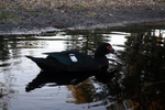 img_5949.jpg