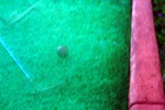 img_5952.jpg