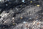 img_5974.jpg