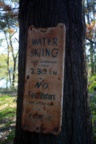 img_5996.jpg