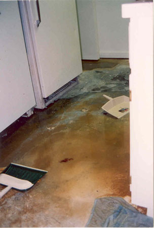 Remodeling 4