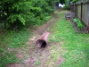 DSCN0157.jpg