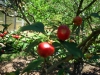 DSCN0177.jpg